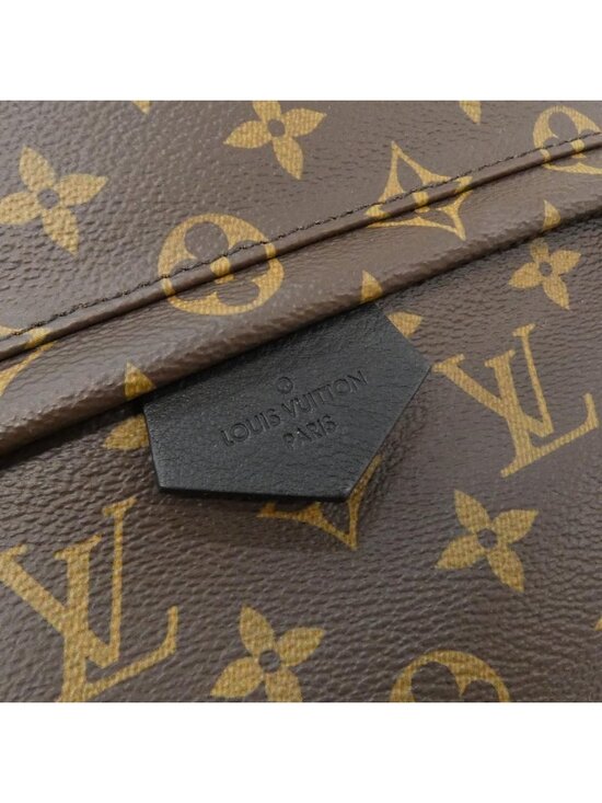 Louis Vuitton Monogram Palm Springs Backpack main image 5